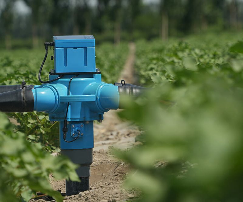 future of iot in agriculture