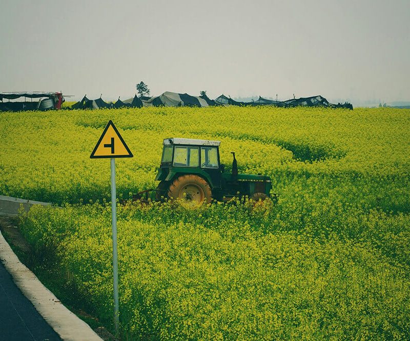 problems of agriculture in Pakistan